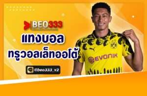 แทงบอลทรูวอลเล็ตออโต้