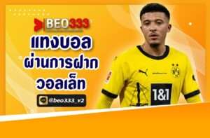 แทงบอลผ่านการฝาก วอลเล็ต