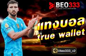 แทงบอล true wallet