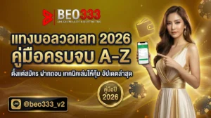 แทงบอลวอเลท 2026 คู่มือครบจบ A-Z (Pillar)